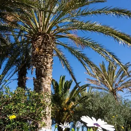 Jasmine House Apartment Sitia (Crete)